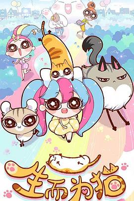 泛页面关键词4943